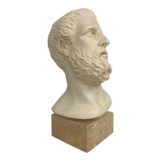 Classical Greco Roman Style Plaster Bust of a Male For Sale