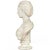 English Antique Marble Bust “Lady Layard” by John Warrington Wood Ca. 1870 For Sale - Image 4 of 12