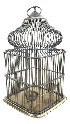 1900 Late Victorian Solid Bronze Wire Eastern Spire Birdcage With Pin Lock