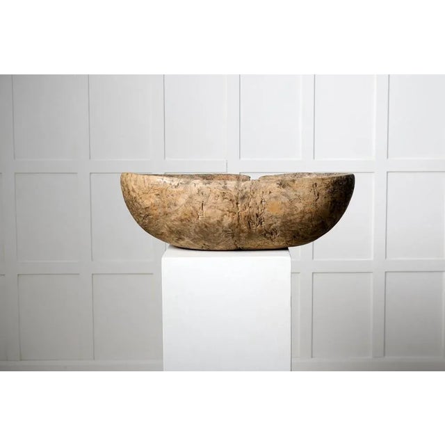 Antique Swedish Handmade Birch Root Bowl, 18th Century For Sale - Image 5 of 8
