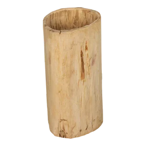 Tall Bleached Tree Trunk Planter