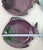 Vintage Faiobidos Portuguese Majolica Ceramic Dessert Appetizer Fish Plates-Set of 6 For Sale - Image 4 of 6