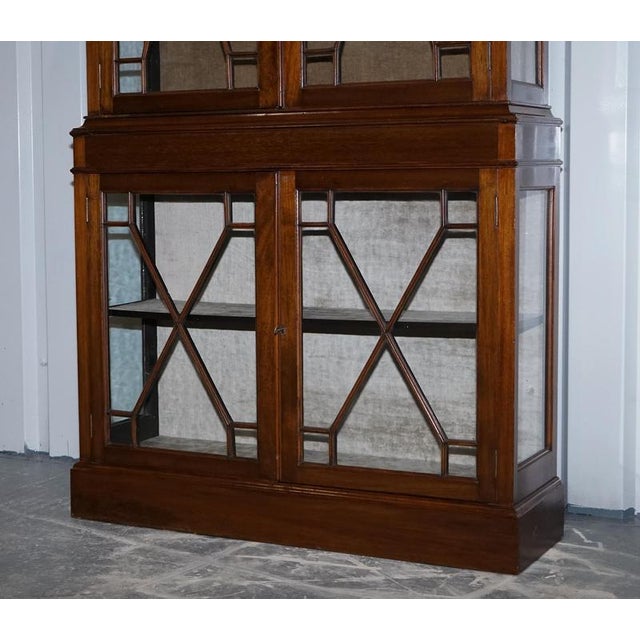 English 19th Centry Glazed Display Curio Cabinet with Fixed Shelves For Sale - Image 4 of 18