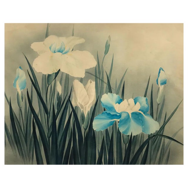 Circle of Lowell Blair Nesbitt, Iris Flowers 1, Mid-20th Century, Watercolour For Sale