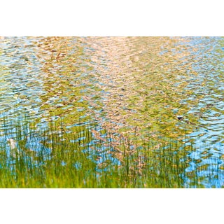 Gaétan Caron "Bathing" (Framed) Water Reflection Photograph, Lassen Volcanic National Park 2016 For Sale