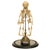 Antique 19thC Anatomical Conjoined Syncephalus Twins Skeleton Medical Model 1860 For Sale In Portland, OR - Image 6 of 17