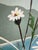 1960s Mid-Century Modern Floral and Nautical Painting For Sale - Image 5 of 6