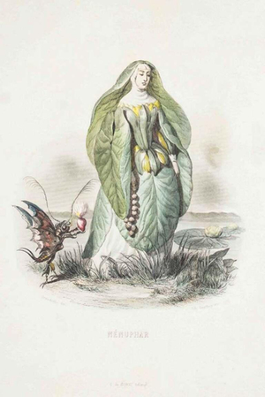 J. J. Grandville, Water Lily, 1847, Lithograph