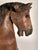 Platform Rocking Horse Floor Pull Toy for your consideration. The horse-riding toy measures approx. 24 inches tall, 22 3/4...