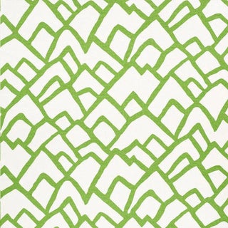 Schumacher Zimba Fabric in Lawn For Sale