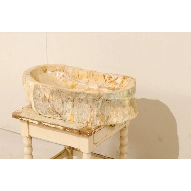 Early 21st Century Organic Modern Petrified Wood Sink For Sale - Image 5 of 8