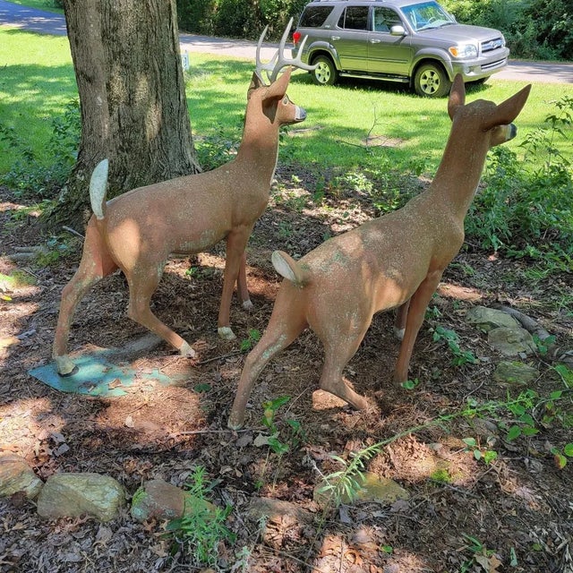 Vintage Concrete Standing Doe and Buck Deer Statues a Pair Chairish