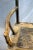 Antique High Yoke Back Armchair For Sale In Greensboro - Image 6 of 11