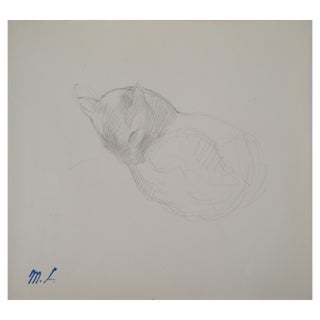 Marie Laurencin, Sleeping Cat, Original Pencil Drawing For Sale