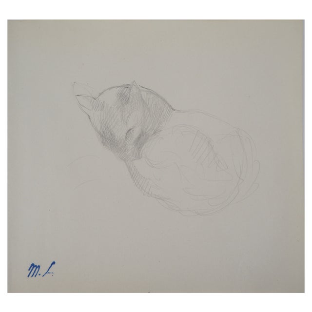 Marie Laurencin, Sleeping Cat, Original Pencil Drawing For Sale