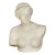 Grand Tour Marble Sculpture Statue Bust of Venus De Milo After the Antique For Sale