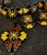 Black 1950s Margot De Taxco Enamel Jewelry Set For Sale - Image 8 of 10