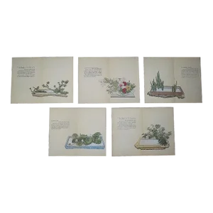 Vintage 1935 Japanese Flower Arrangement Lithographs - Set of 5