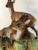 Figurative Antique Bavarian Bisque Deer Lidded Dish For Sale - Image 3 of 13