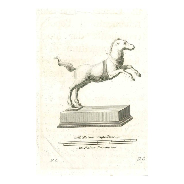 Vincenzo Campana, Ancient Roman Statue, Original Etching, 18th-Century For Sale