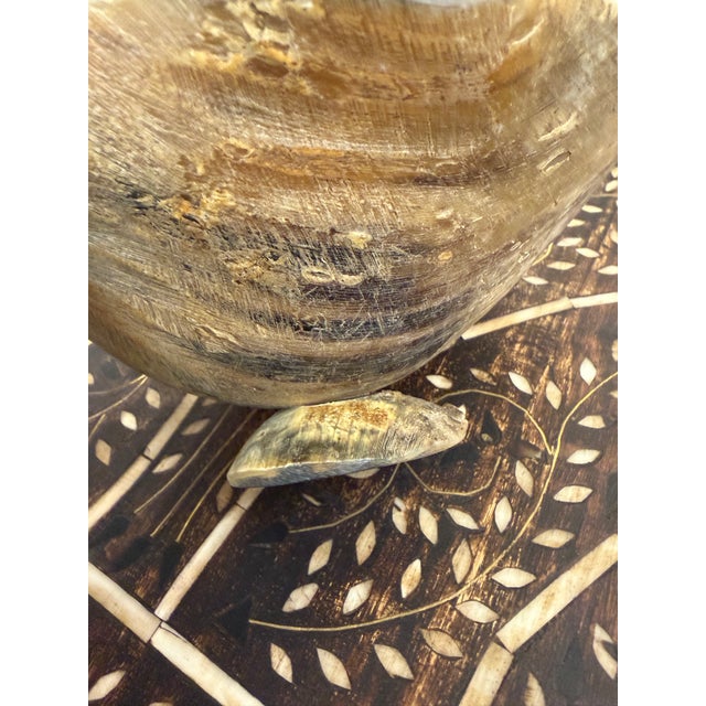 Bone Hand Carved Polished and Scalloped Edge Horn Bowl For Sale - Image 7 of 8