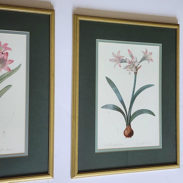 Vintage Pierre-Joseph Redoute Botanical Lily Flowers Reproduction Framed Prints-a Pair For Sale - Image 4 of 12
