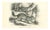 Paul Gervais, Spermophilus, 1854, Lithograph For Sale