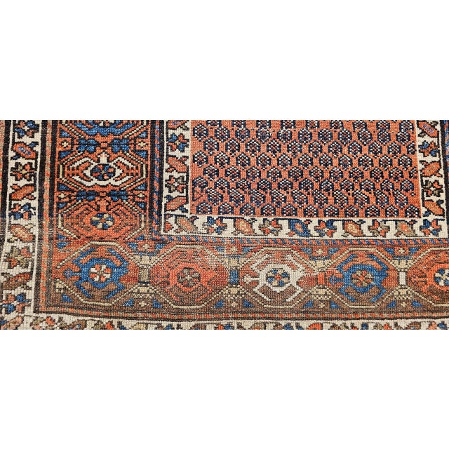 Antique Kurdish Rug, Hand-Knotted Wool, All-over Paisley Pattern, Rust & Navy, 3x6 For Sale - Image 17 of 17