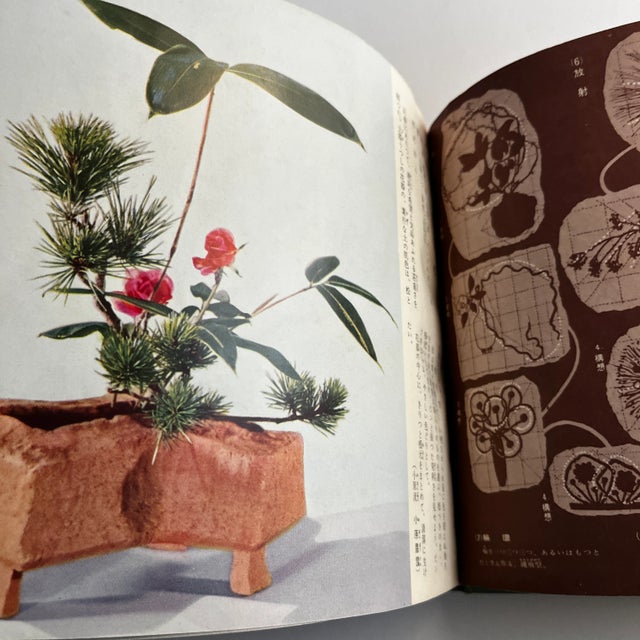 1960s Mid-Century Japanese Ikebana and House Plants Book For Sale - Image 5 of 13