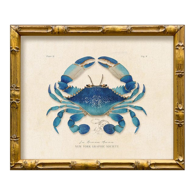 Contemporary Reproduction of Vintage "Blue Crab" Giclee Print, Framed For Sale