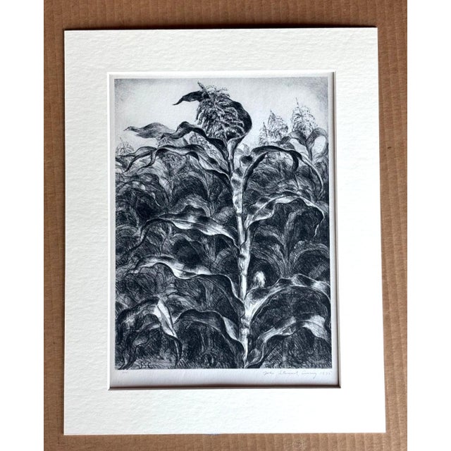 American Vintage 1939 Print in 11x14 Mat, Ready to Frame: John Steuart Curry, "Corn", EUC For Sale - Image 3 of 3