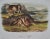 This is an original John James Audubon hand-colored royal octavo lithograph entitled "Prairie Wolf", No. 15, Plate LXXI,...