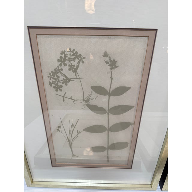 Early 21st Century Soicher Marin "Ghost Herberia in Celedon", Complete Series For Sale - Image 5 of 12