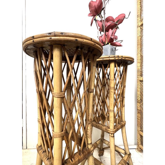 Mid-Century French Rattan and Bamboo Plant Stands, Set of 2 For Sale - Image 4 of 18