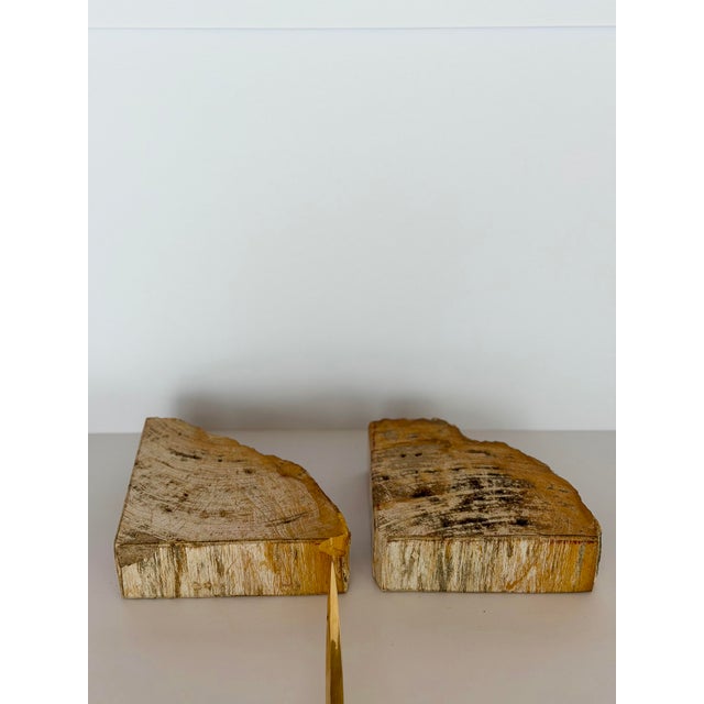 Vintage Sculptural Petrified Wood Bookends - A Pair For Sale - Image 11 of 11