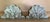 Antique 18th Century French Rococo Carved Wood Sea Shell Form Architectural Cornice Elements - A Pair For Sale - Image 4 of 14