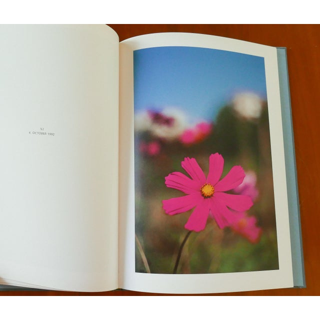 Terri Weifenbach 「In Your Dreams」 写真集