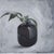 Justyna Kuklo, Black Vase I, 2019, Oil on Canvas For Sale - Image 3 of 6
