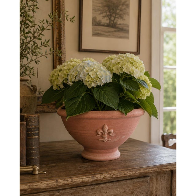 A handsome Italian terracotta planter by Antonini, shaped as a broad, shallow bowl raised on a gently molded circular...