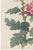Pink Chrysanthemums, Vintage Japanese Botanical Art Print, 24" X 36" For Sale - Image 4 of 9