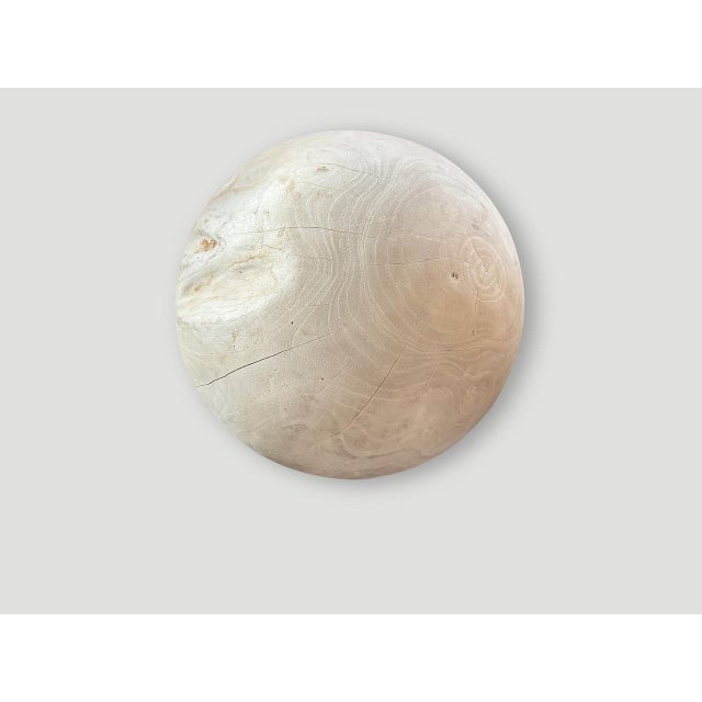 Andrianna Shamaris Sculptural Bleached Sphere on a Stand For Sale - Image 14 of 18