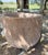 Antique Marble Centenary, 19th Century For Sale - Image 4 of 6