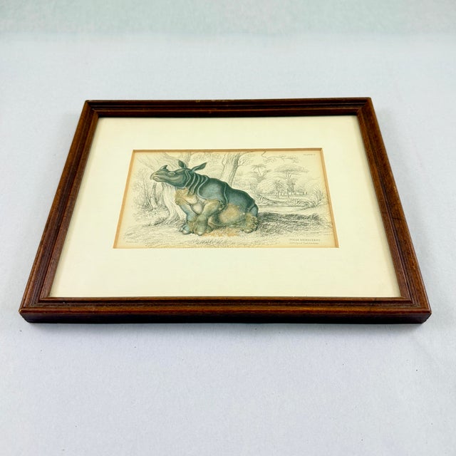 Black James Stewart Indian Rhinoceros Hand Colored Copper Engraving, Framed – 1836 For Sale - Image 8 of 11