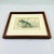 Black James Stewart Indian Rhinoceros Hand Colored Copper Engraving, Framed – 1836 For Sale - Image 8 of 11