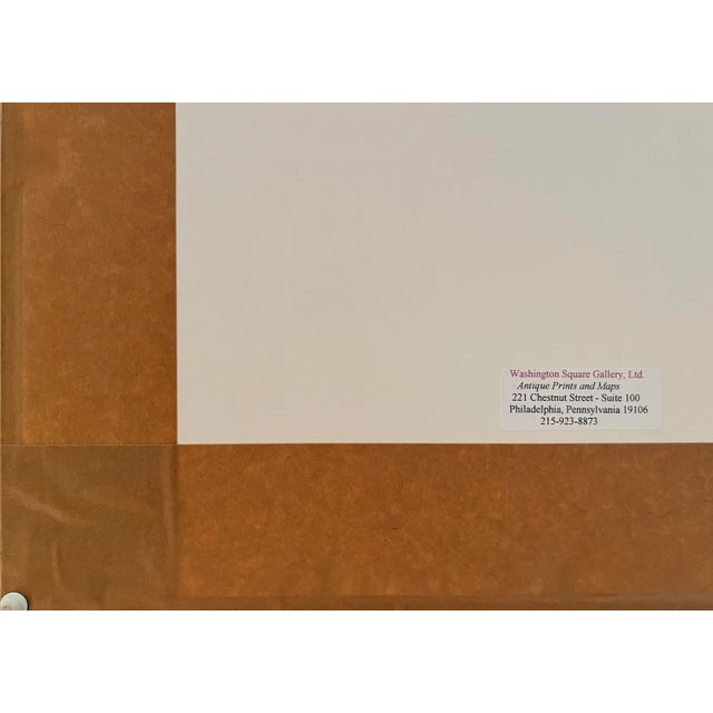 Pierre-Joseph Redouté Original Engraving - Cyrtanthus Angustifolius, Early 19th Century, Paris For Sale - Image 4 of 9