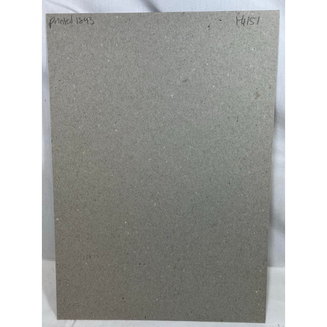 Antique Botanical Print From England Showcasing Delicate Pink Alpine Flowers - Circa 1893 For Sale - Image 12 of 12