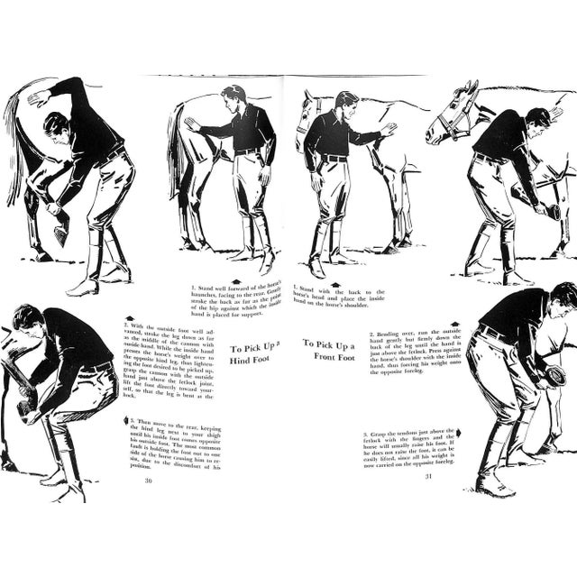 "Horsemanship: A Primer for the Novice, a Guidepost for the More Advances, a Source of Review for the Expert" 1958 Wright, Gordon For Sale - Image 11 of 11