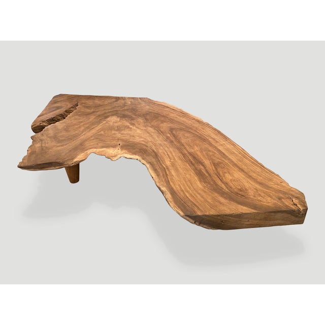 Andrianna Shamaris Massive Single Slab Suar Wood Live Edge Coffee Table For Sale - Image 9 of 18