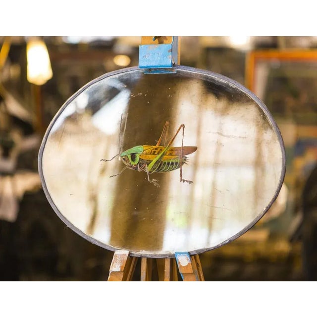 Mirrored the Cricket Decorative Object from Unique Mirrors, in None conditions. Designed from 2000