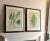 Victorian Set of Two 19th Century English Victorian Nature Printed Ferns in Custom Gilt Carved Wood Frames For Sale - Image 3 of 12